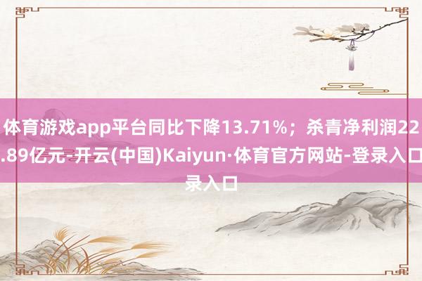 体育游戏app平台同比下降13.71%；杀青净利润22.89亿元-开云(中国)Kaiyun·体育官方网站-登录入口