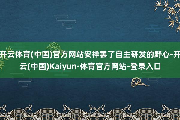 开云体育(中国)官方网站安祥罢了自主研发的野心-开云(中国)Kaiyun·体育官方网站-登录入口