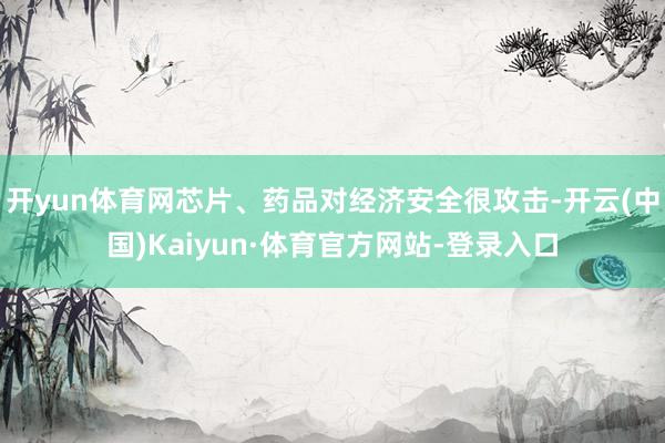 开yun体育网芯片、药品对经济安全很攻击-开云(中国)Kaiyun·体育官方网站-登录入口