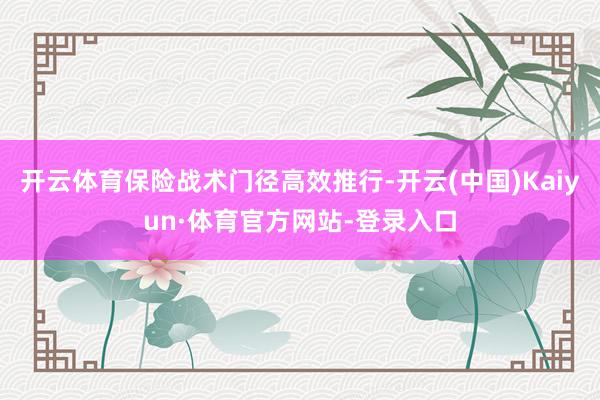 开云体育保险战术门径高效推行-开云(中国)Kaiyun·体育官方网站-登录入口